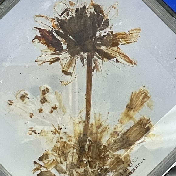 **3/$20** Vintage Heart Shaped Sun Catcher with Flower - Picture 4 of 7